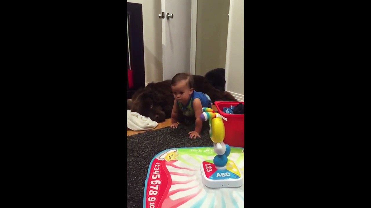 Priceless moment captured between baby and dog