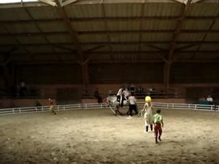 Voltige équestre : Les clowns en 2006