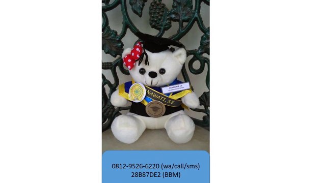 0812-9526-6220 - Boneka wisuda Purwakarta- Grosir Boneka wisuda - Pusat boneka wisuda