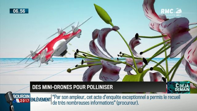 La chronique d'Anthony Morel : Des mini drones pollinisateurs qui viennent en aide aux abeilles - 31/03