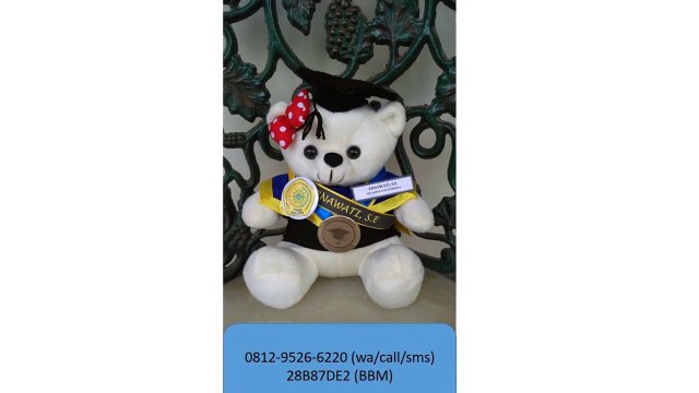 0812-9526-6220 - Boneka wisuda Aceh - Grosir Boneka wisuda - Pusat boneka wisuda_2