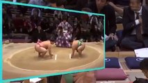 2016大相撲11月（九州）場所14日目　宇良vs.佐藤（改め、貴景勝） 　ライバル対決は如何・・・