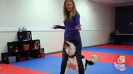 enjoy girl and dog dance