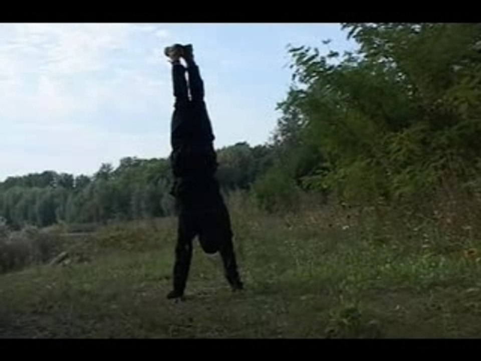 The experimental ninjas show