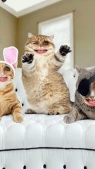 KAD PIJEŠ S DRUŠTVOM 2