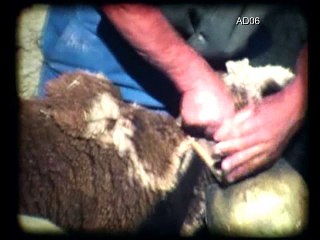 La Route – Fonds André Cresp