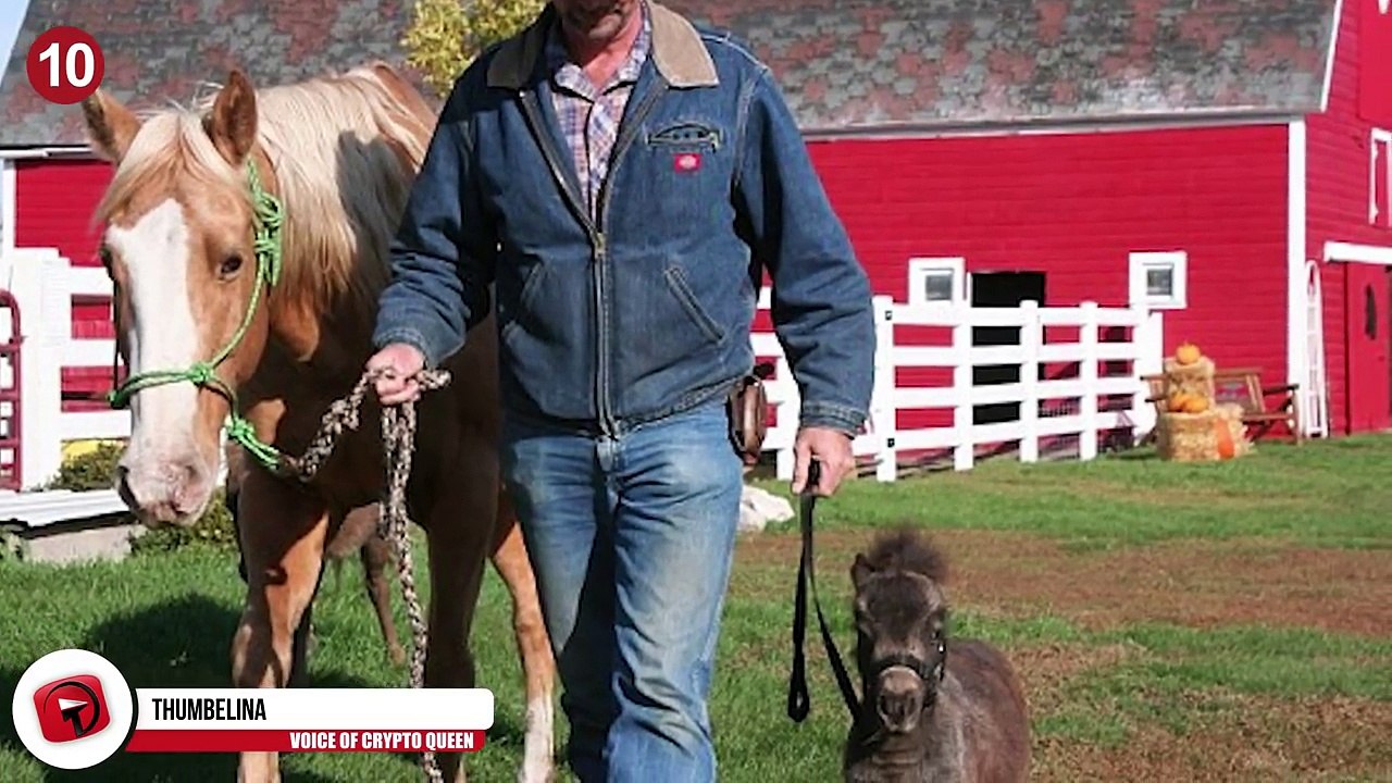 13 Smallest Animals In The World