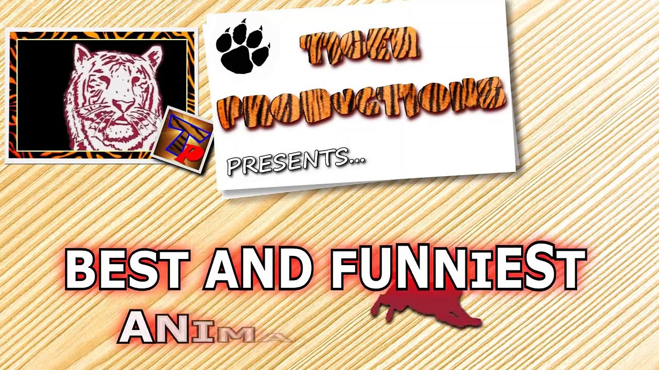 Animals are so funny that you can die of laughter - Funny animal compilation