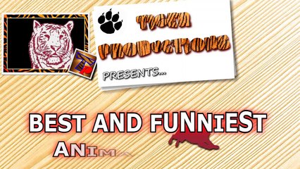 Animals are so funny that you can die of laughter - Funny animal compilation