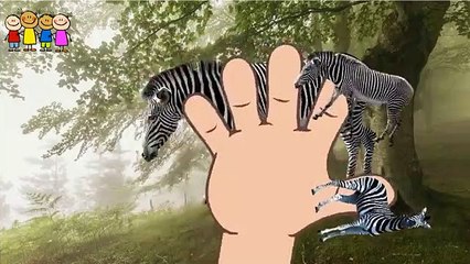 Baby Rhynjal-Watermelon-Gorilla Finger Family Cartoons   Family Rhymes