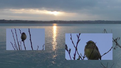 Grande marée baie Saint Brieuc 28 mars 2017