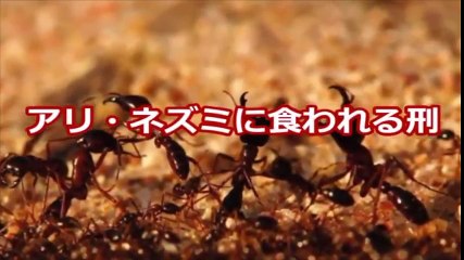 【閲覧注意】かつて実際に行われていた驚愕の処刑方法がガチでヤバい・・・