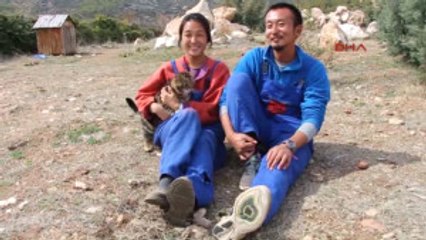 Burdur Güney Koreli Çift Lüks Hayattan Sıkılıp Lisinia'ya Geldi