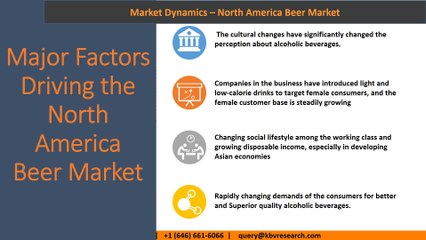 North america beer market share