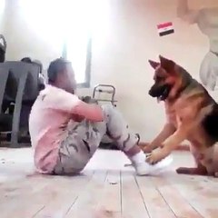Quand ton chien décide de t'aider à maigrir