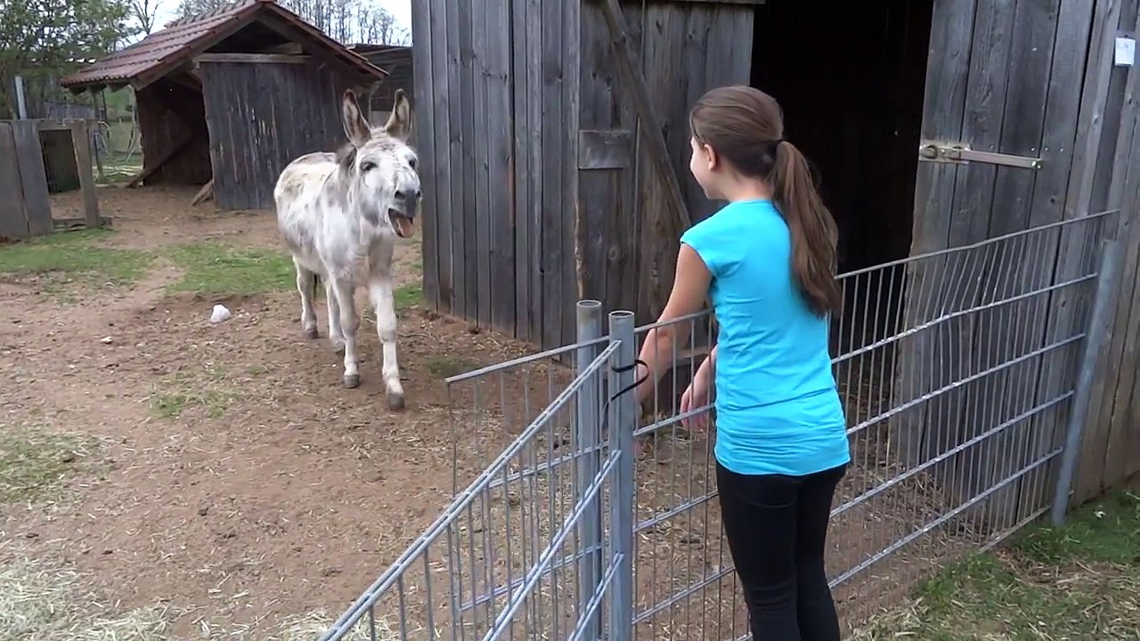 Incroyable : découvrez la manière dont cette jeune fille communique avec son âne :