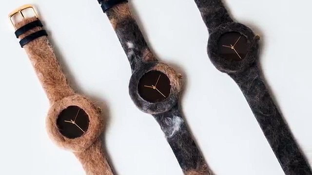 Une entreprise crée des montres avec des poils de chats et de chiens