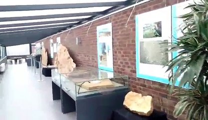 Bernissart: visite du nouveau musée de l'iguanodon