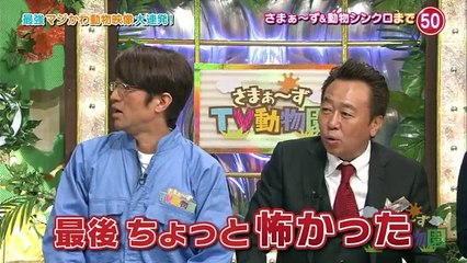 ①さまぁ～ずＴＶ動物園最強マジかわ映像大連発！ワンちゃんの気持ちが分かっちゃう…   20170330