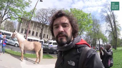 Le Tour de l'Actu spécial permis et Chevalib'