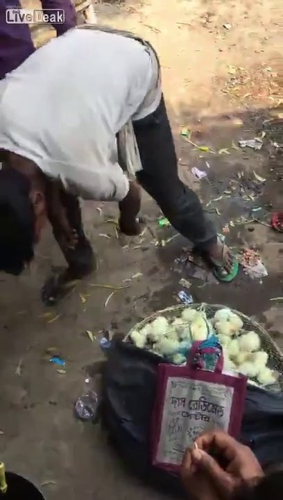 Ce vendeur de poussins est dingue... regardez ce qu'il fait avec!