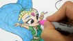 Shimmer and Shine Coloring Book Paarkle colorare Nickelo