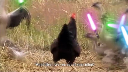 LES OIES JEDI - PAROLE DE POULE