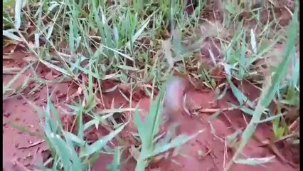 if you steel breath don't give up