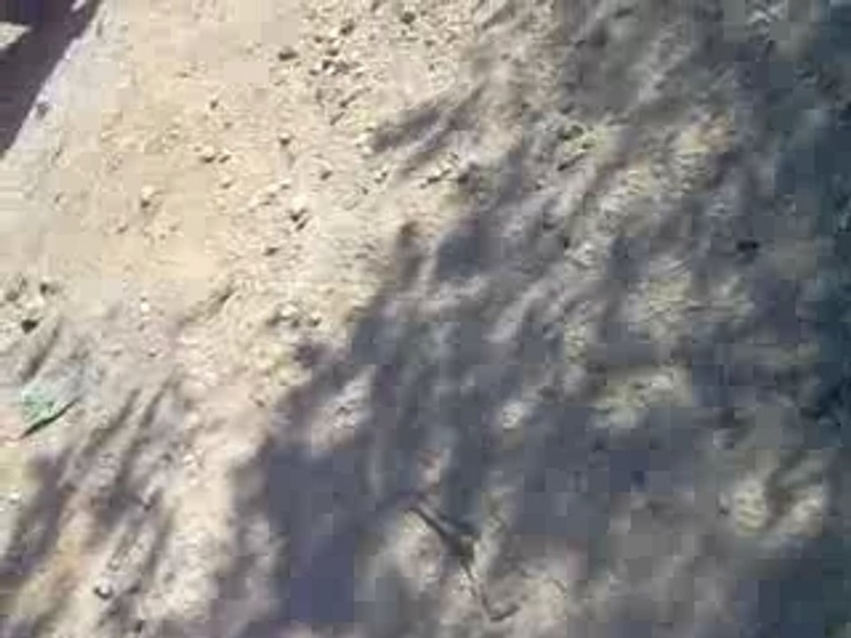 4X4 P38 croisement pont