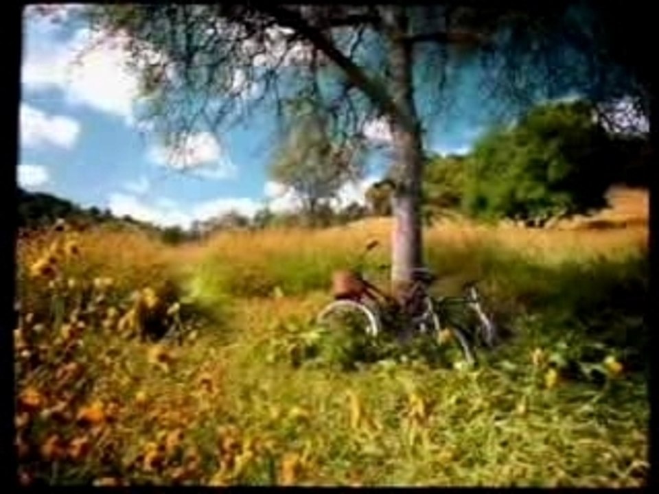 [Pub] K-Fee - Abeille