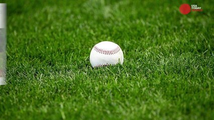 Bees swarm spring training game