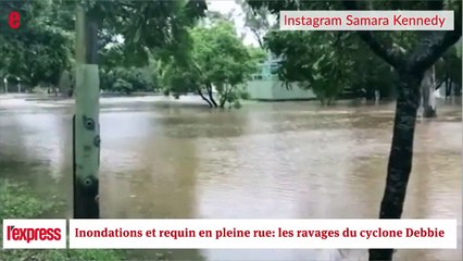 Inondations et requin en pleine rue les ravages du cyclone Debbie