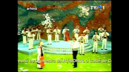 Sava Negrean Brudascu -  A plecat motul prin tara (doina)