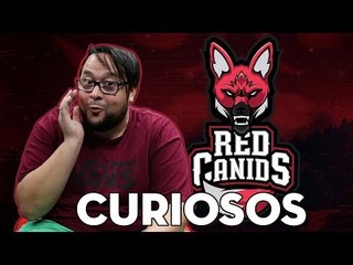 A MATILHA VERMELHA! (RED CANIDS)