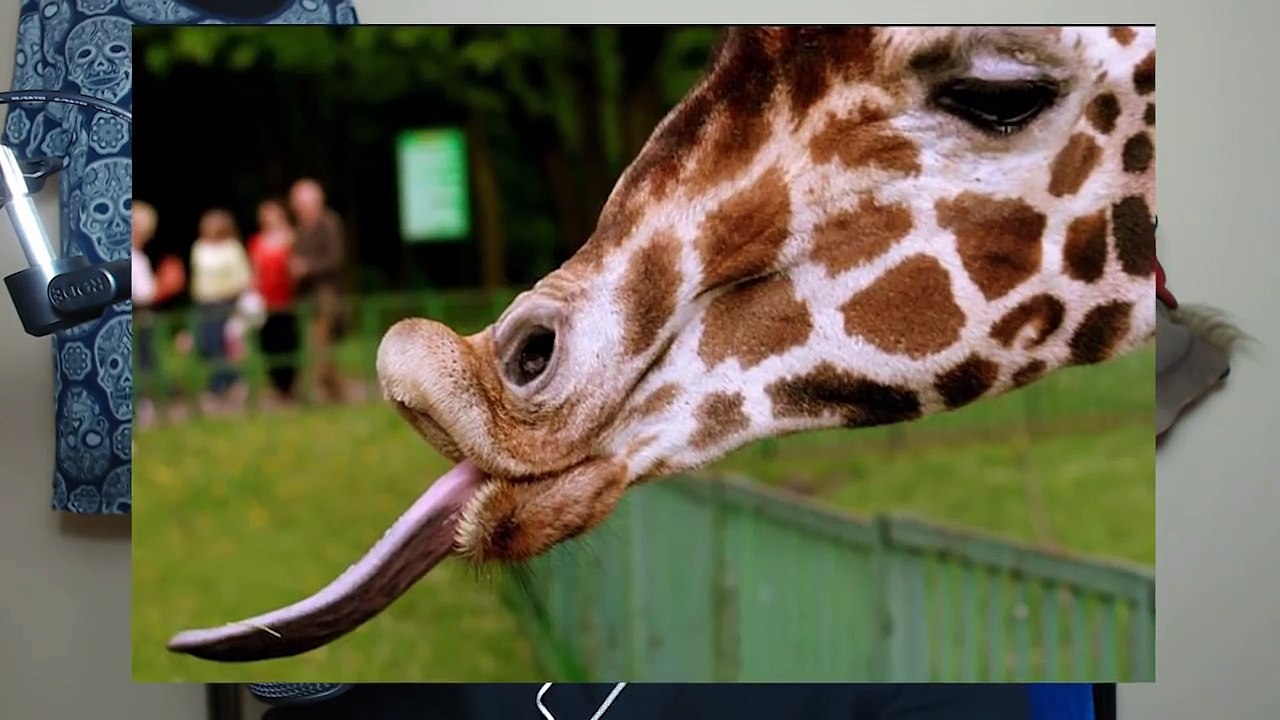 BİLMEDİĞİNİZ İLGİNÇ YASAKLAR ve BİLGİLER