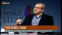 Yedi Renkli Çınar 31 03 2017