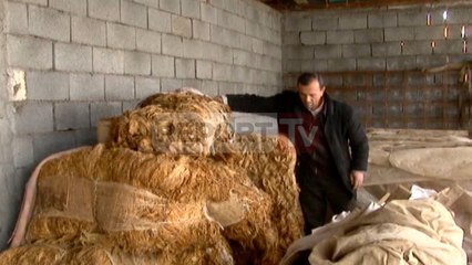 Report TV - Shkodër, mungon tregu për duhanin banorët: Po na shkon dëm mundi