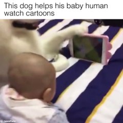 Viral Thread - What a good doggo