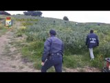 Migranti e caporalato, 20 denunce nel Cosentino (31.03.17)