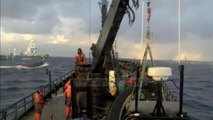 Australia, kritika Japonisë për gjuetinë e balenave - Top Channel Albania - News - Lajme
