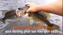 Trớ trêu hài hước thanh niên giải cứu cặp đôi cá lâm vào tình huống khó xử