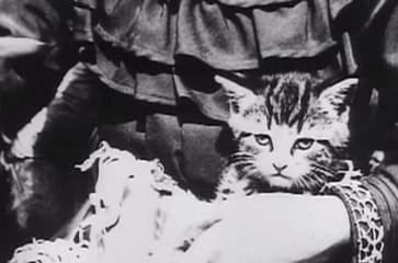 George Albert Smith: Sick Kitten (1903)