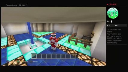 Constuction d un cache cache (19)