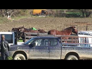 Fermerët në kërkim të tregut - Top Channel Albania - News - Lajme