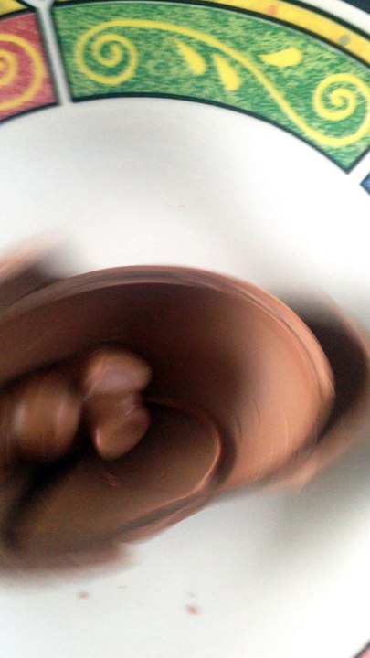 bunny chocolate