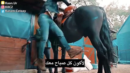 Music New Talıb Tale Bilməsəm  اجمل اغنية الاذرية مترجمة