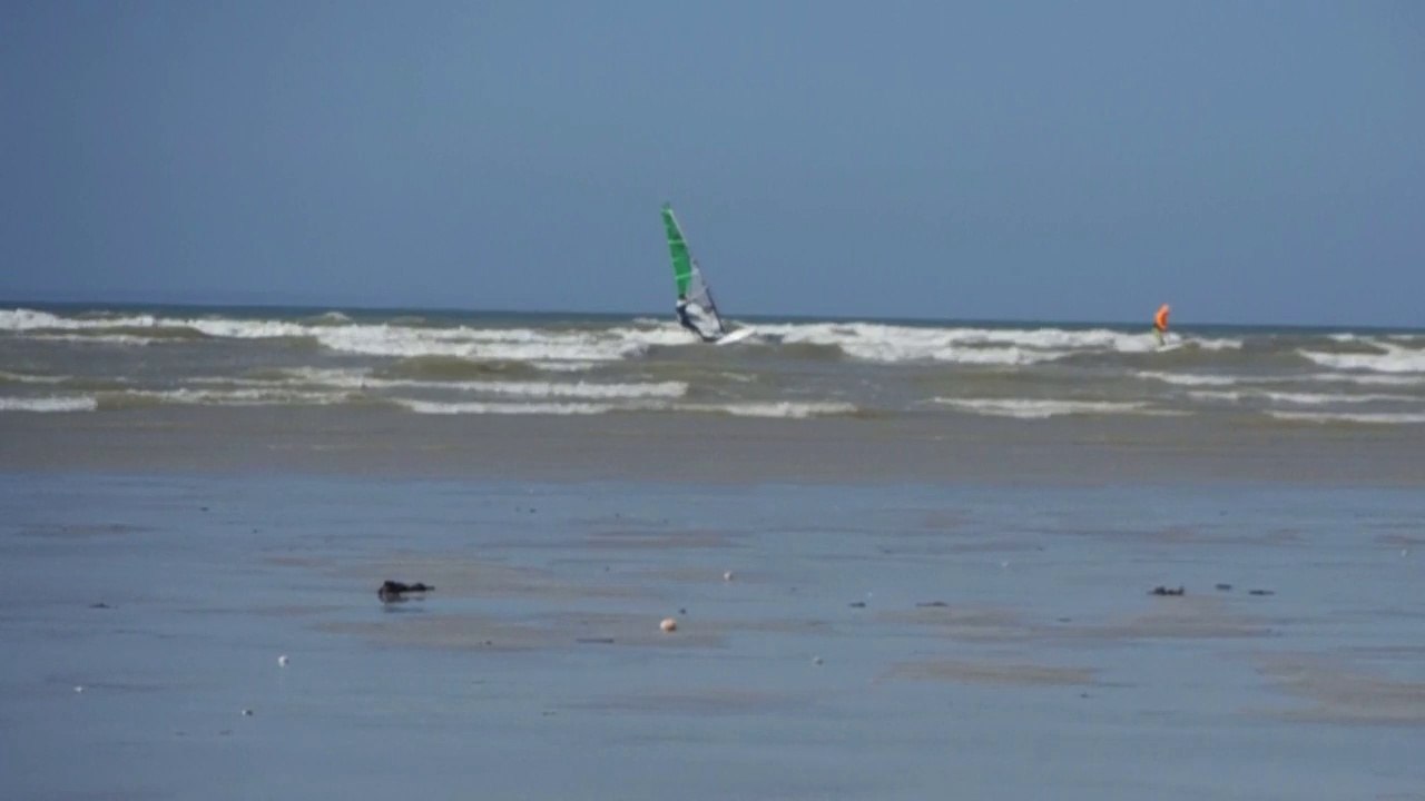 sealion anneville avec Denis mars 2017