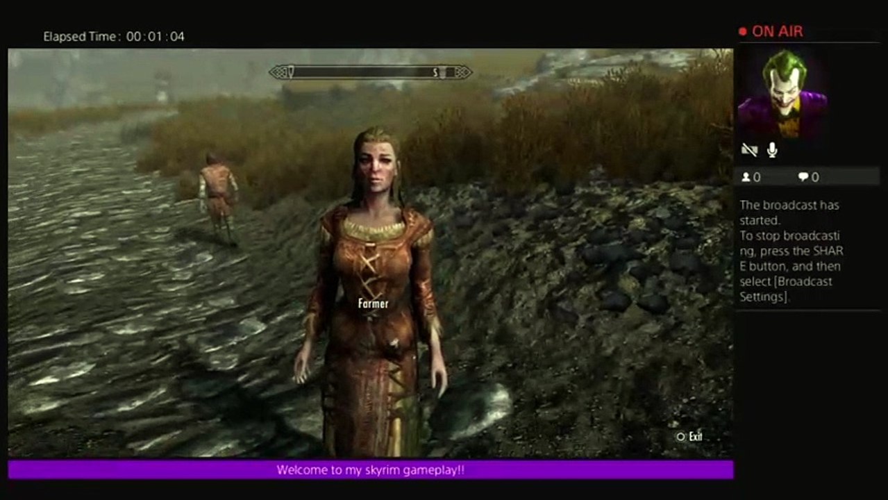 Skyrim-Awesome armour and cool dragons!!! (8)