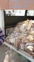 Dead Chickens For Shwarama