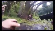 Cão policial fareja e encontra criminosos escondido no pântano